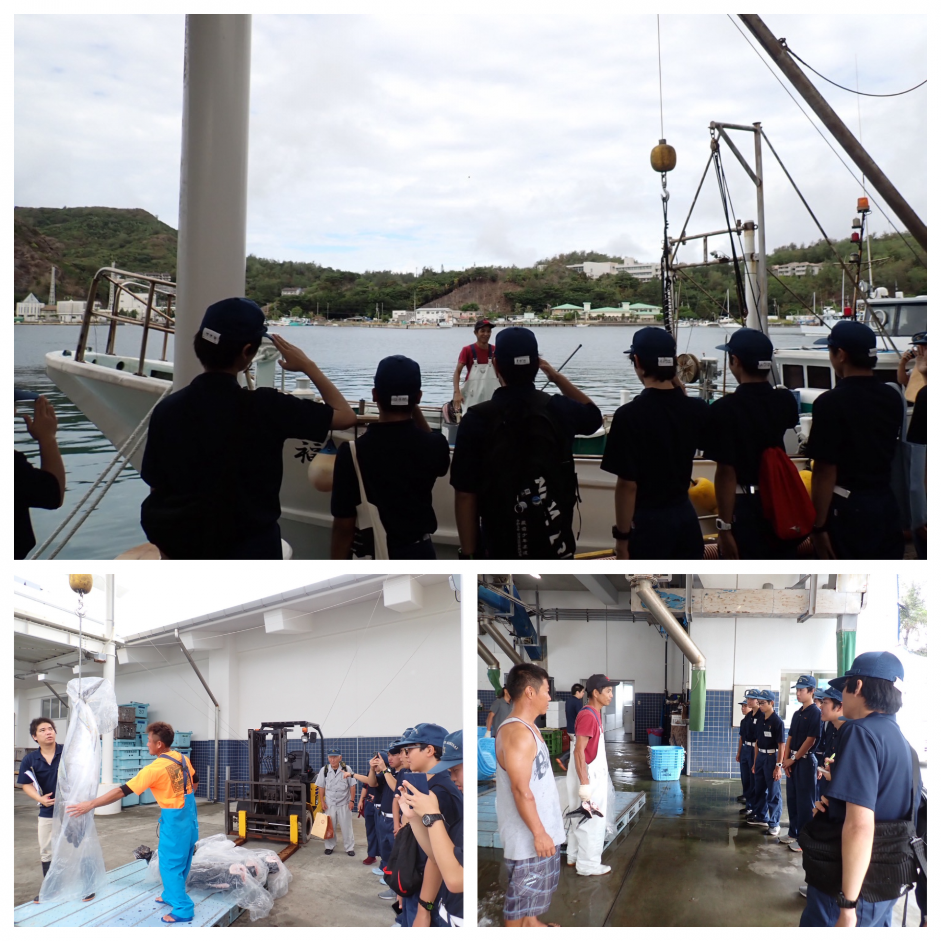 Blank 3 Grids Collage - 2025-10-25T085306.585